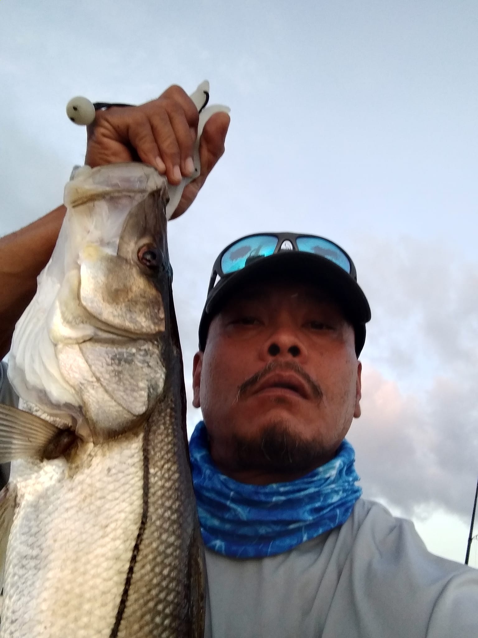 27 inch Snook on artificial