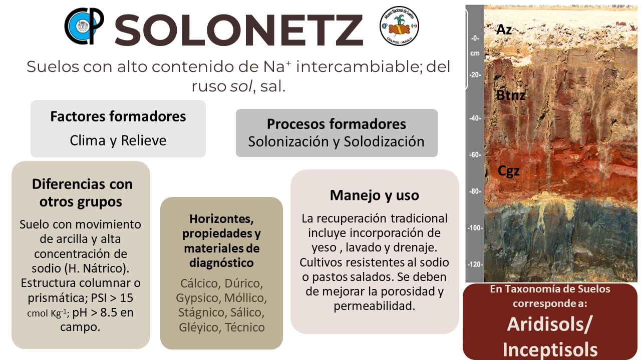 Fichas de los suelos... - Museo Nacional de Suelos - México