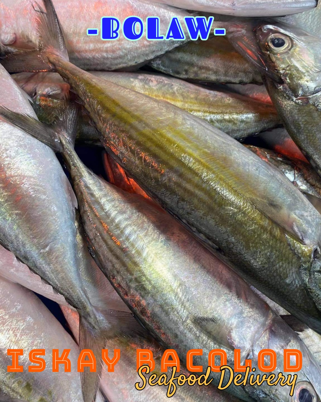 ISKAY Bacolod Seafood... - ISKAY Bacolod Seafood Delivery