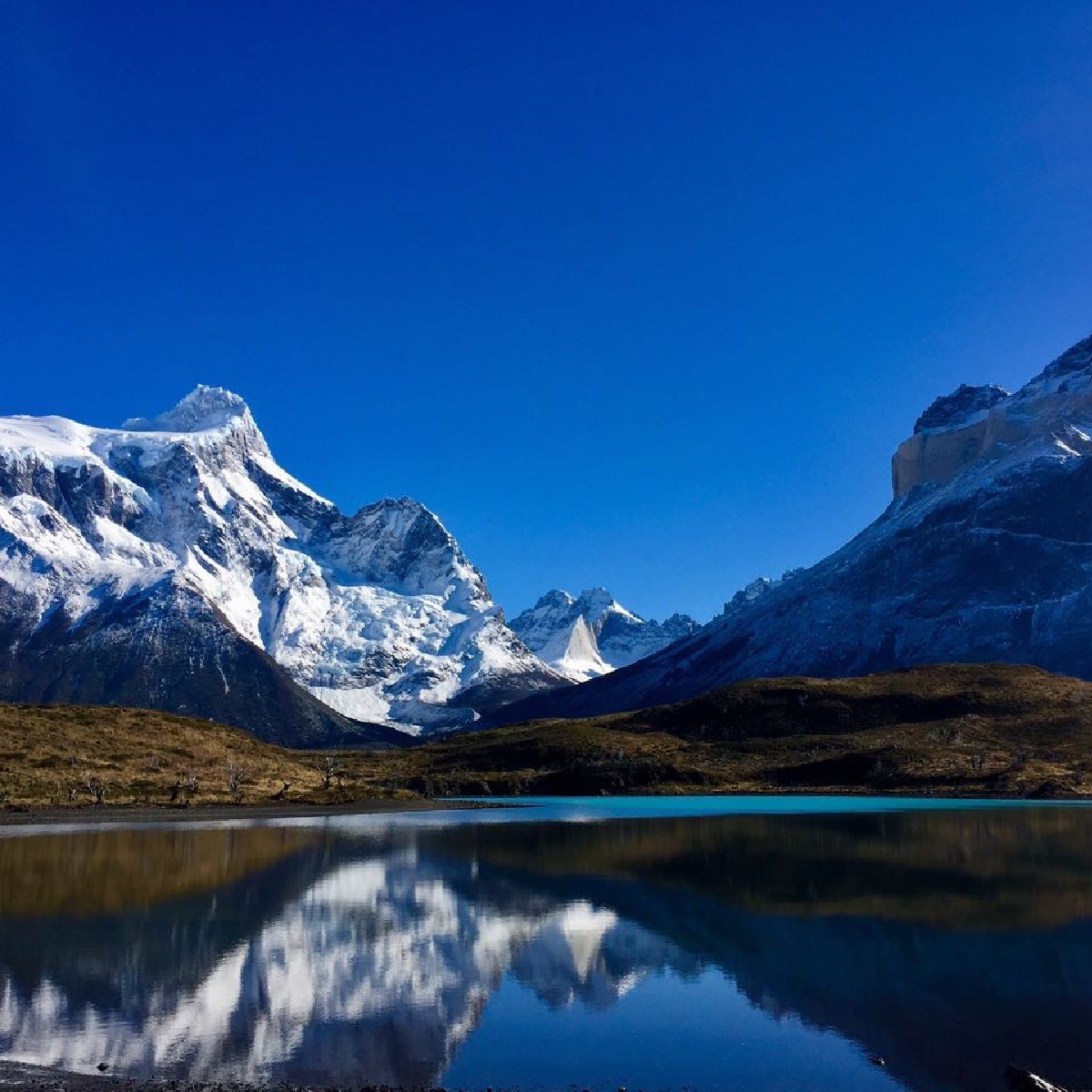 Patagonia Camp - 🌼 Welcome Spring! 🌼 It's the perfect... | Facebook
