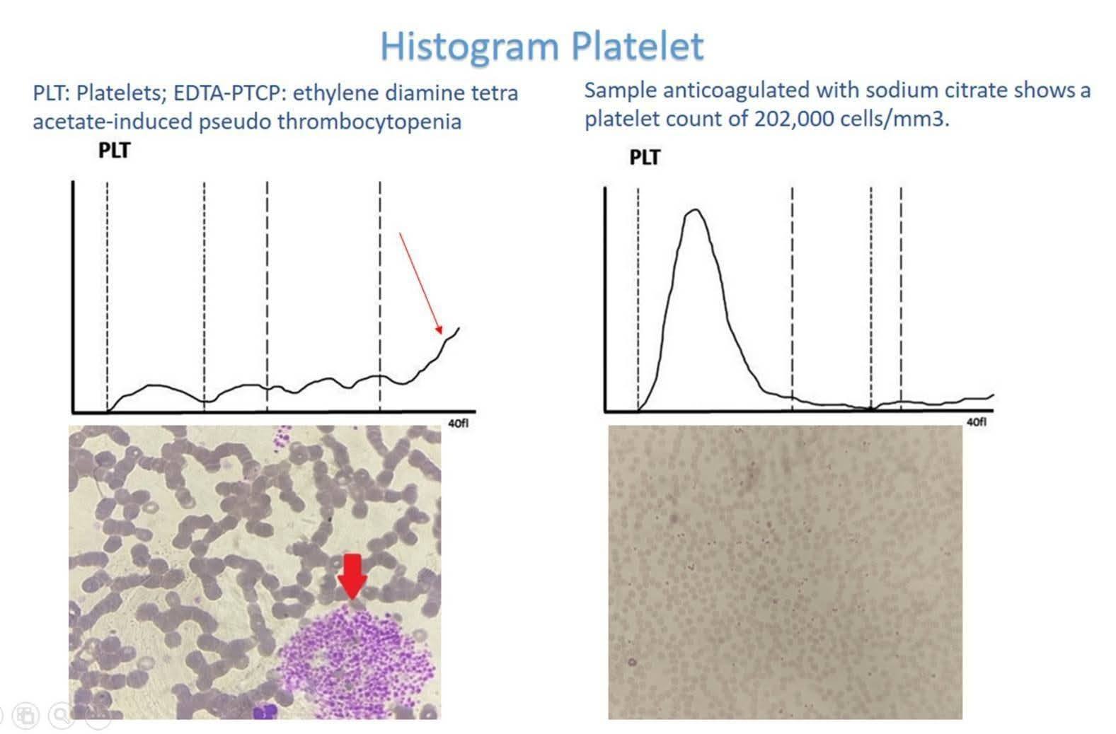 ASCP MLS/MT Exam Study Group | What is the Picture | Facebook