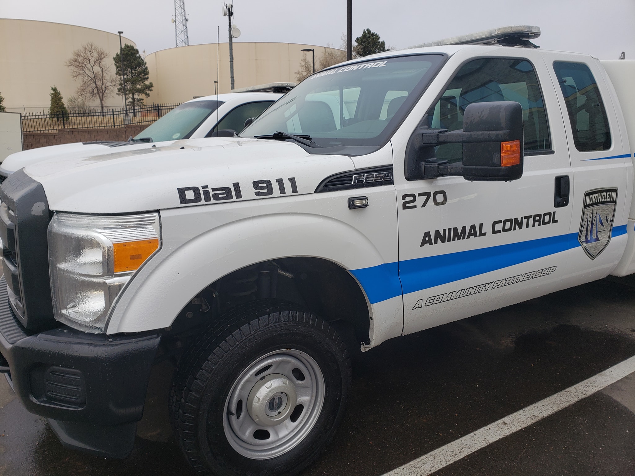 Northglenn - Reports of ill raccoons have increased in our area; many ...