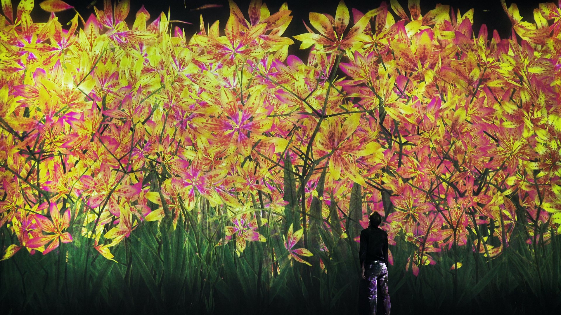 teamLab / チームラボ - Fall scenery is on view at “teamLab...