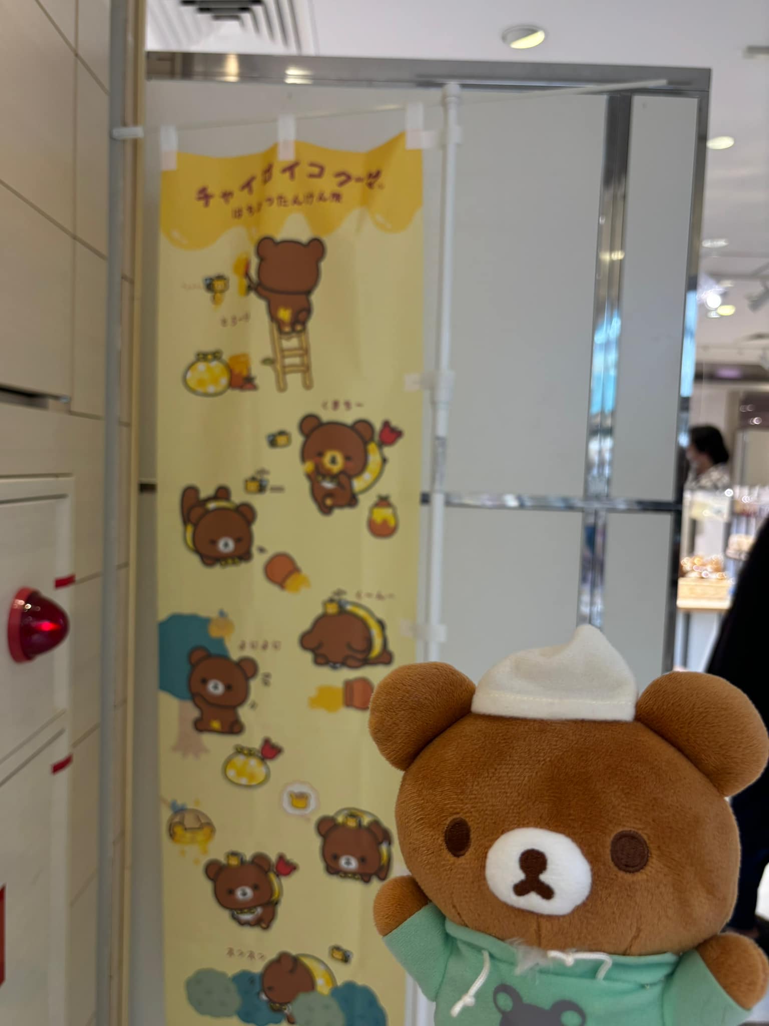 チャイロイコグマ はちみつたんけん隊 大阪会場 4日目行ってきました