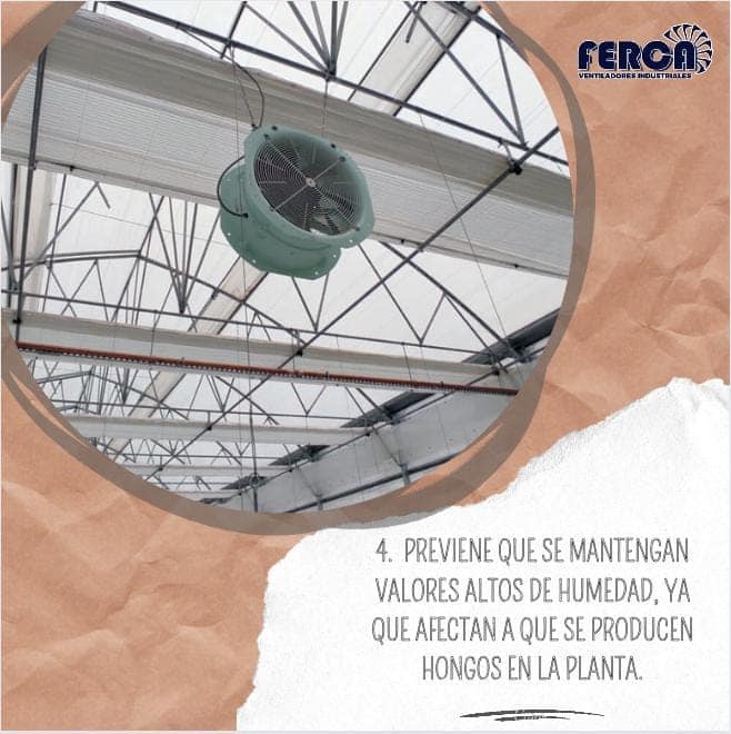 ¿Ya conoces los... - Ventiladores Industriales Ferca