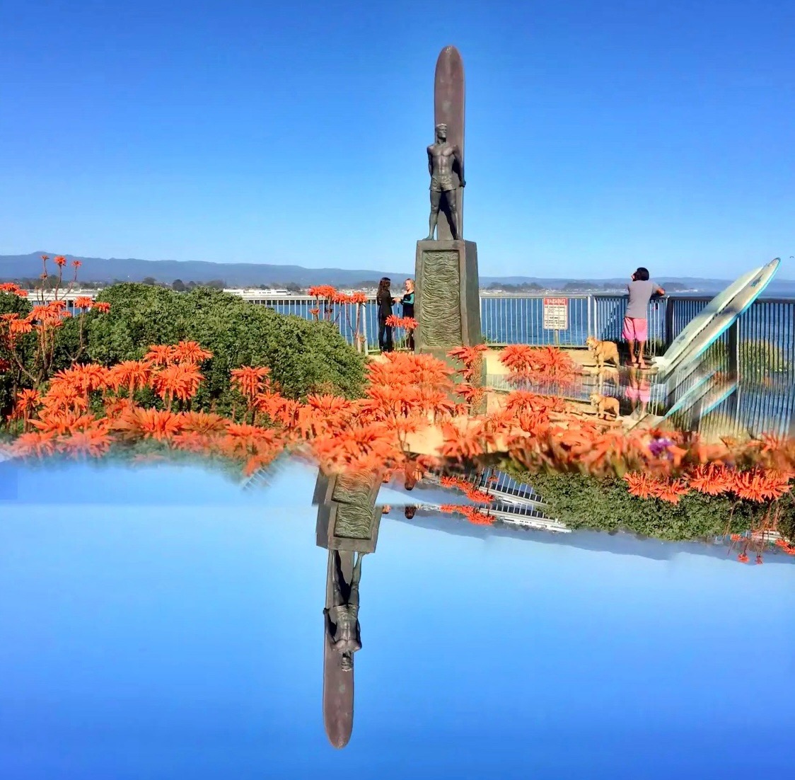 Santa Cruz Surfer Statue, erected in 1992, honoring Bill