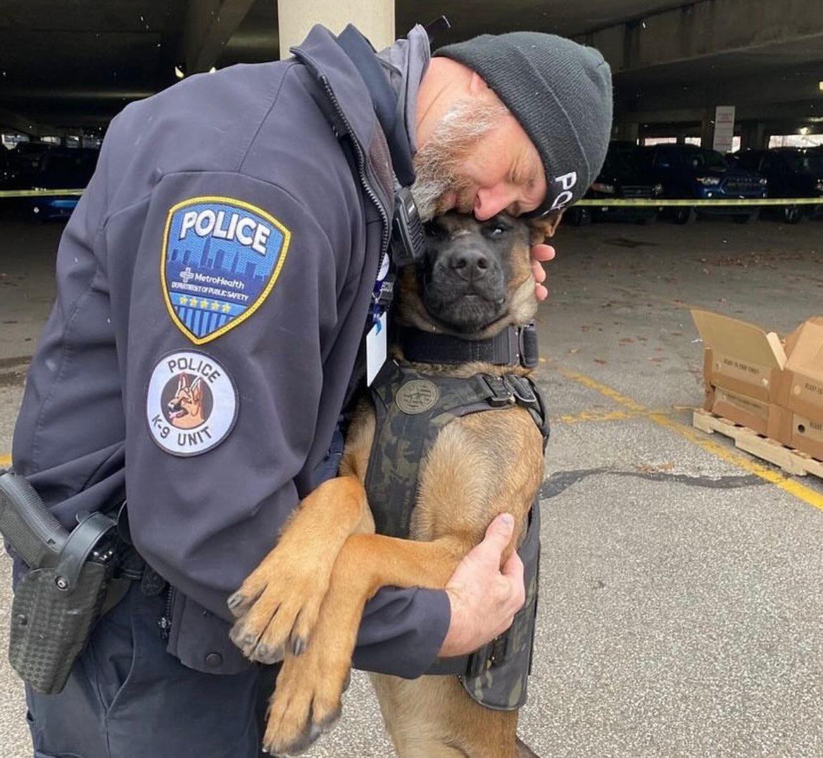 Ohio Going Blue - K9 Hope and his handler from MetroHealth Police ...