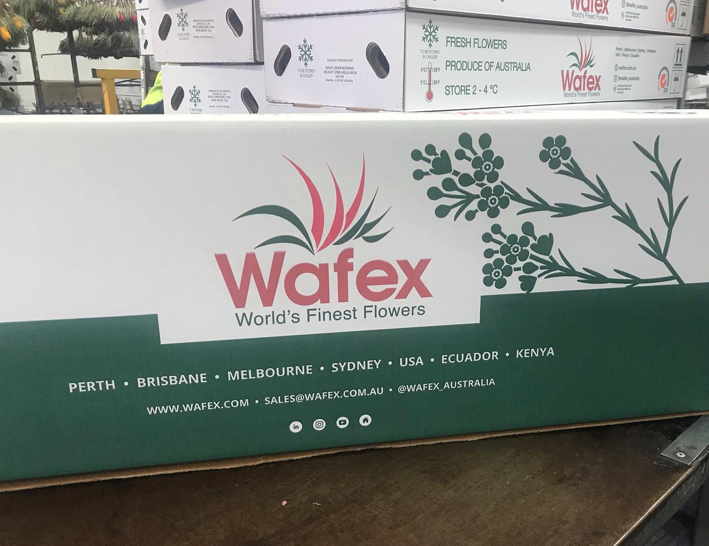 Wafex - Introducing our new Australian box design! Our new...