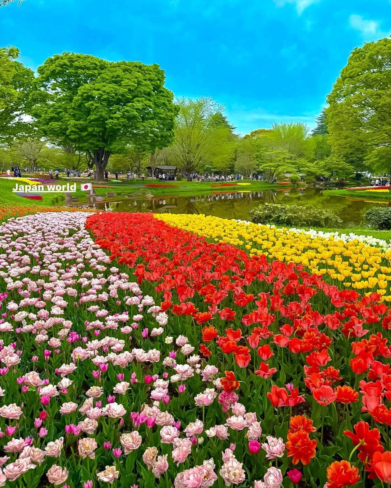 ⭐8㎝CD⭐Beautiful Garden / Beautiful 8K Garden Relaxation