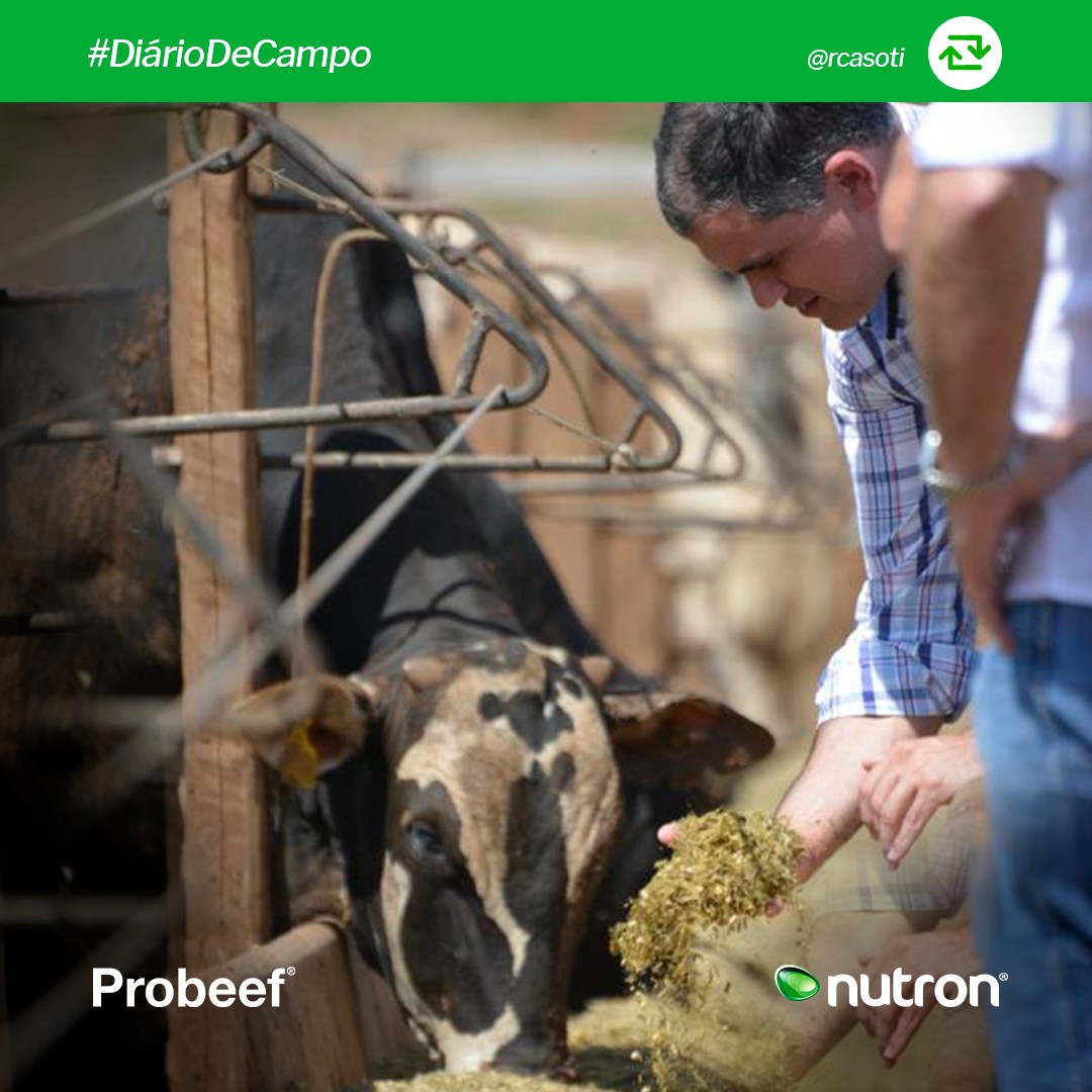 Probeef - O Diário de Campo de hoje vem diretamente do Paraná. Ronaldo ...