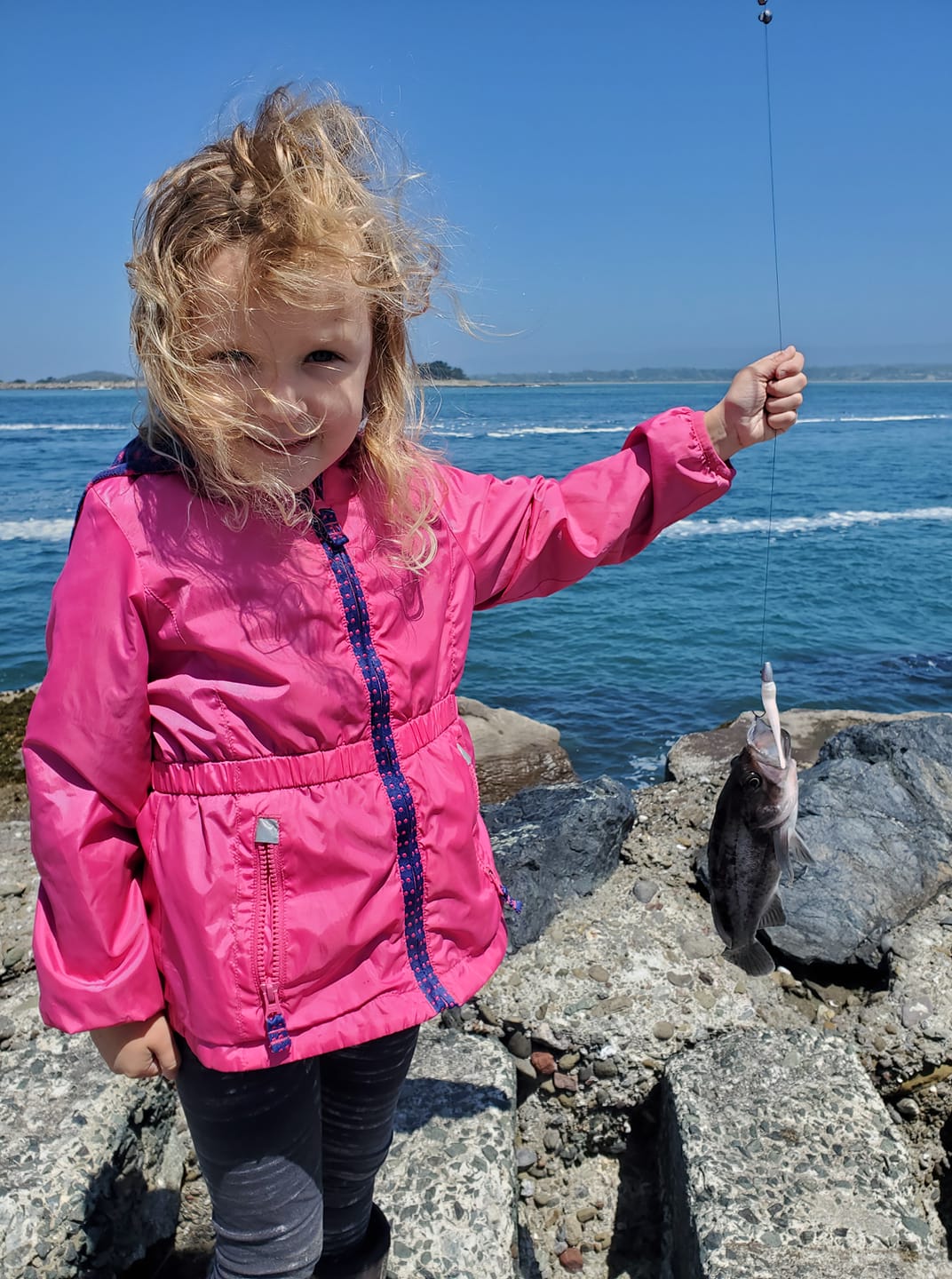 Humboldt Jetty Rats