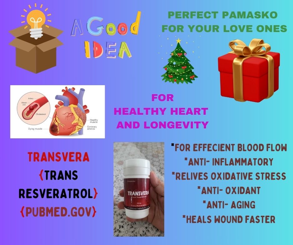 Transvera Bacolod Hub