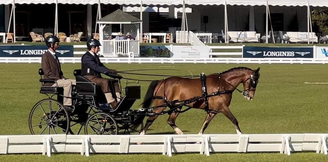 Hackneys only | At Live Oak International Combined Driving show check ...