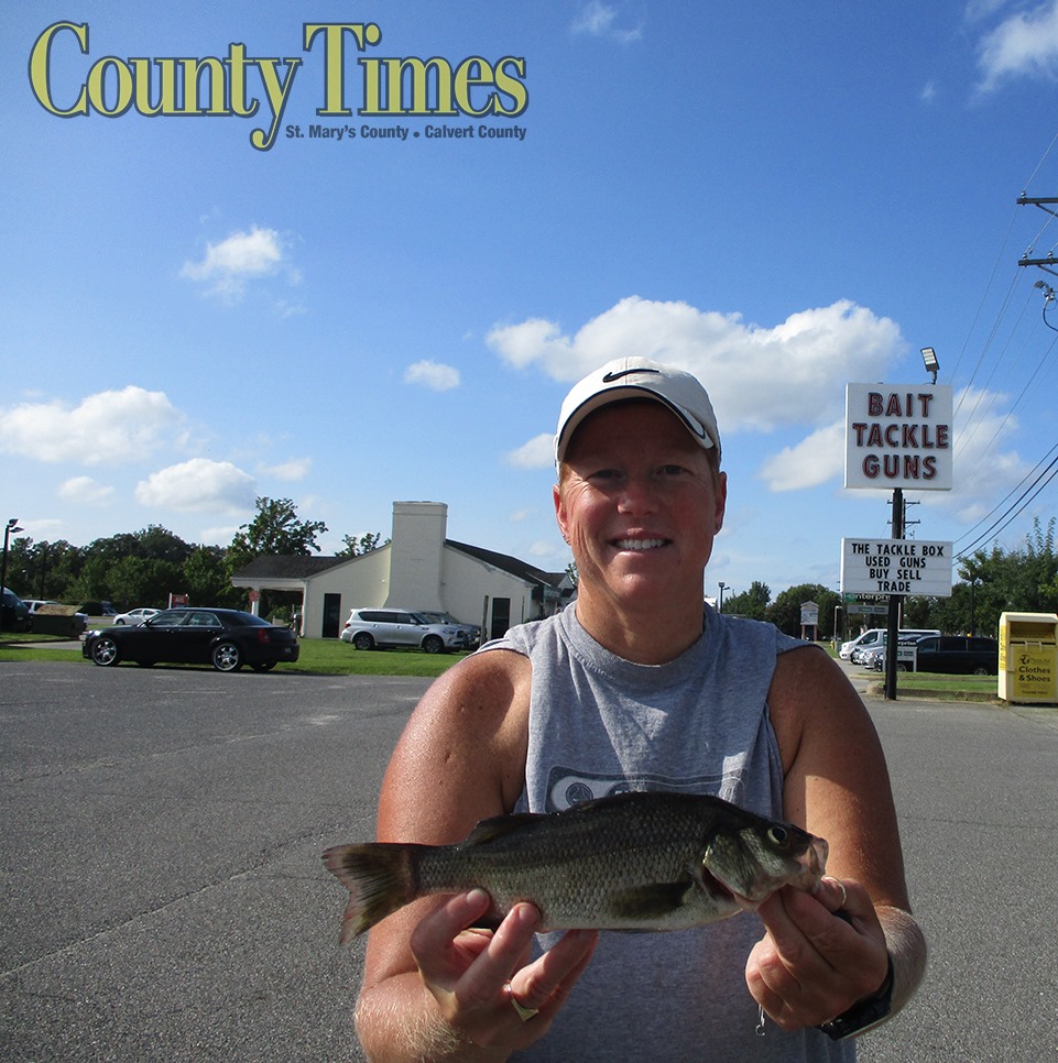 ladies ugly stik elite Spinning Reel and Fishing Rod Combo : Sports & Outdoors The combo features a l-xl-size G Loomis IMX-PRO 721S Model:H-BC-1014