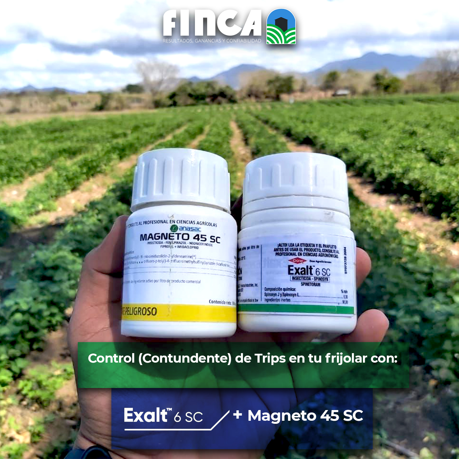 FINCA S.A. - Exalt 6 SC, es un insecticida para el control...