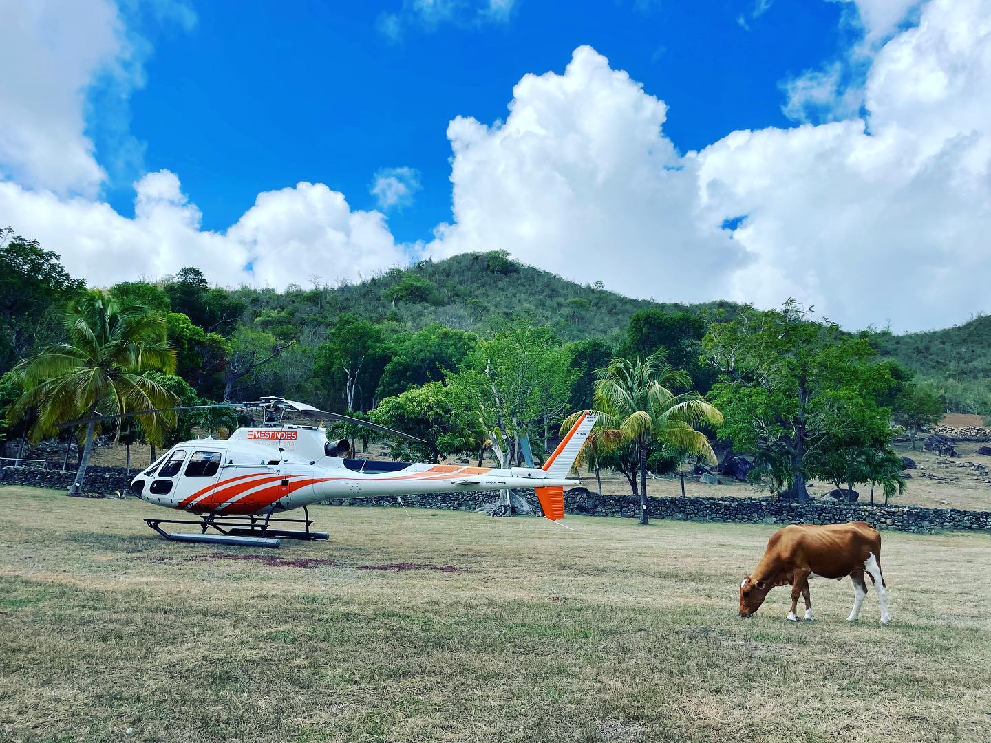 West Indies Helicopters - Nature day in St Martin 💚 Live an unique ...