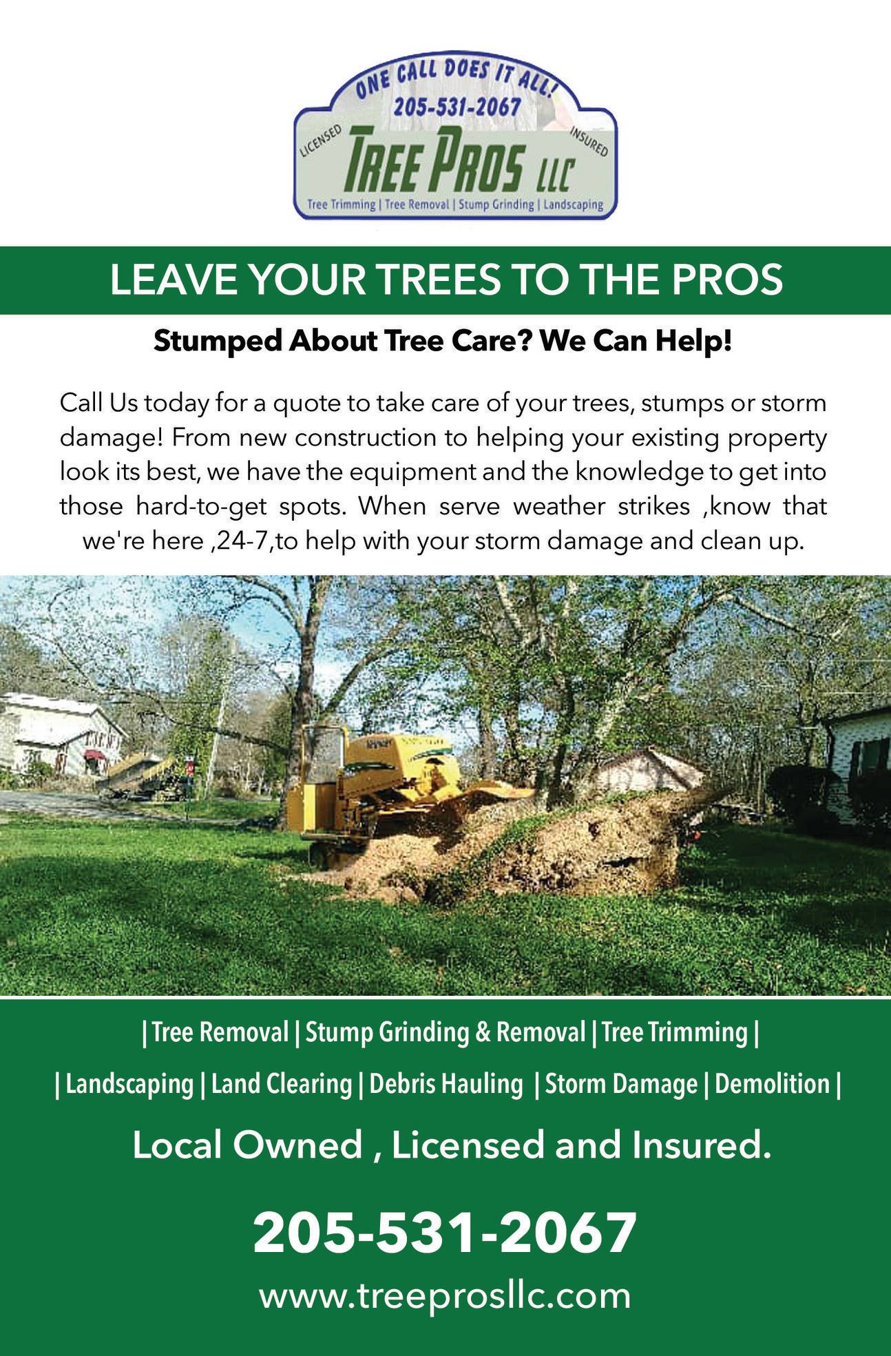 Tree Pros LLC | Remlap AL