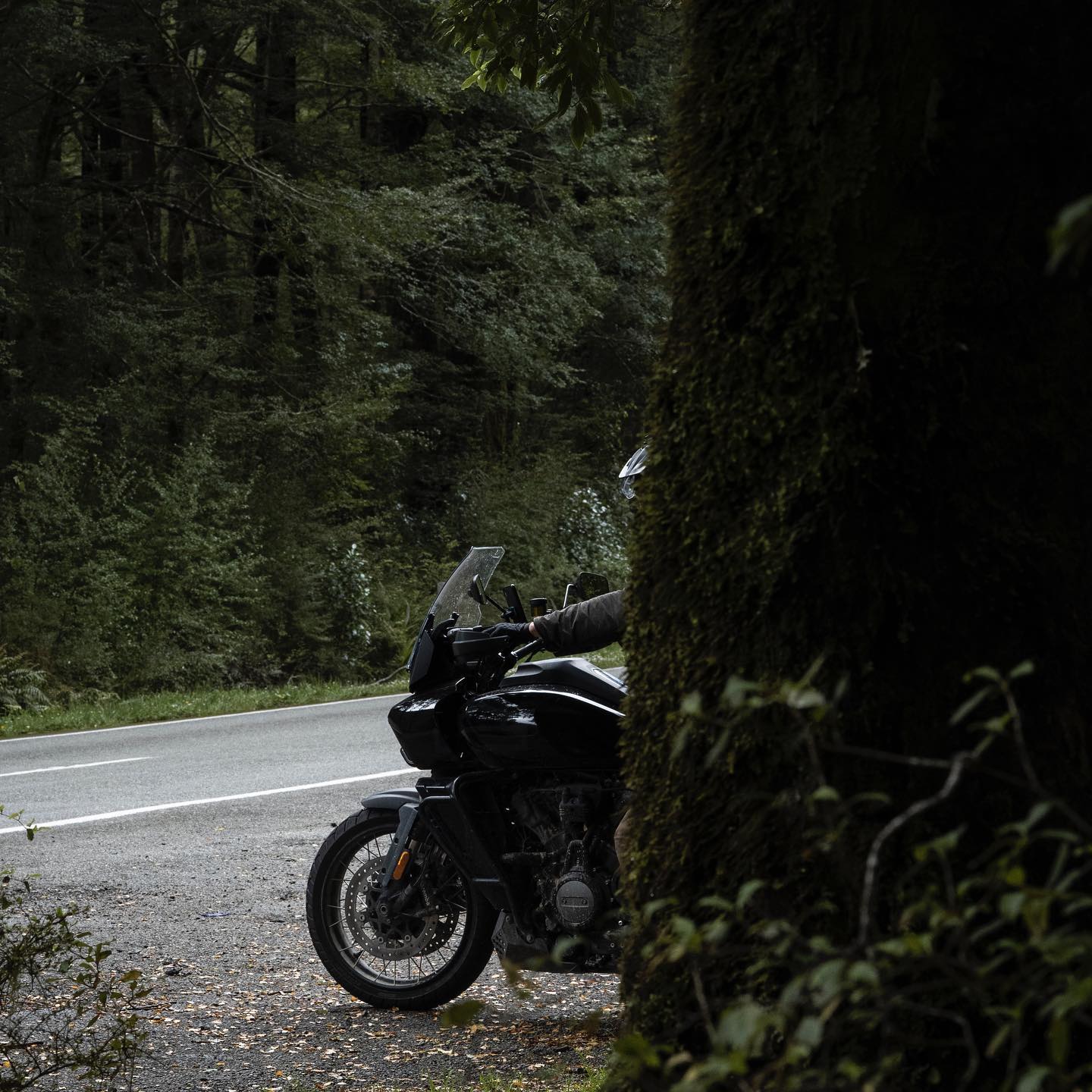 Dead Man Riding