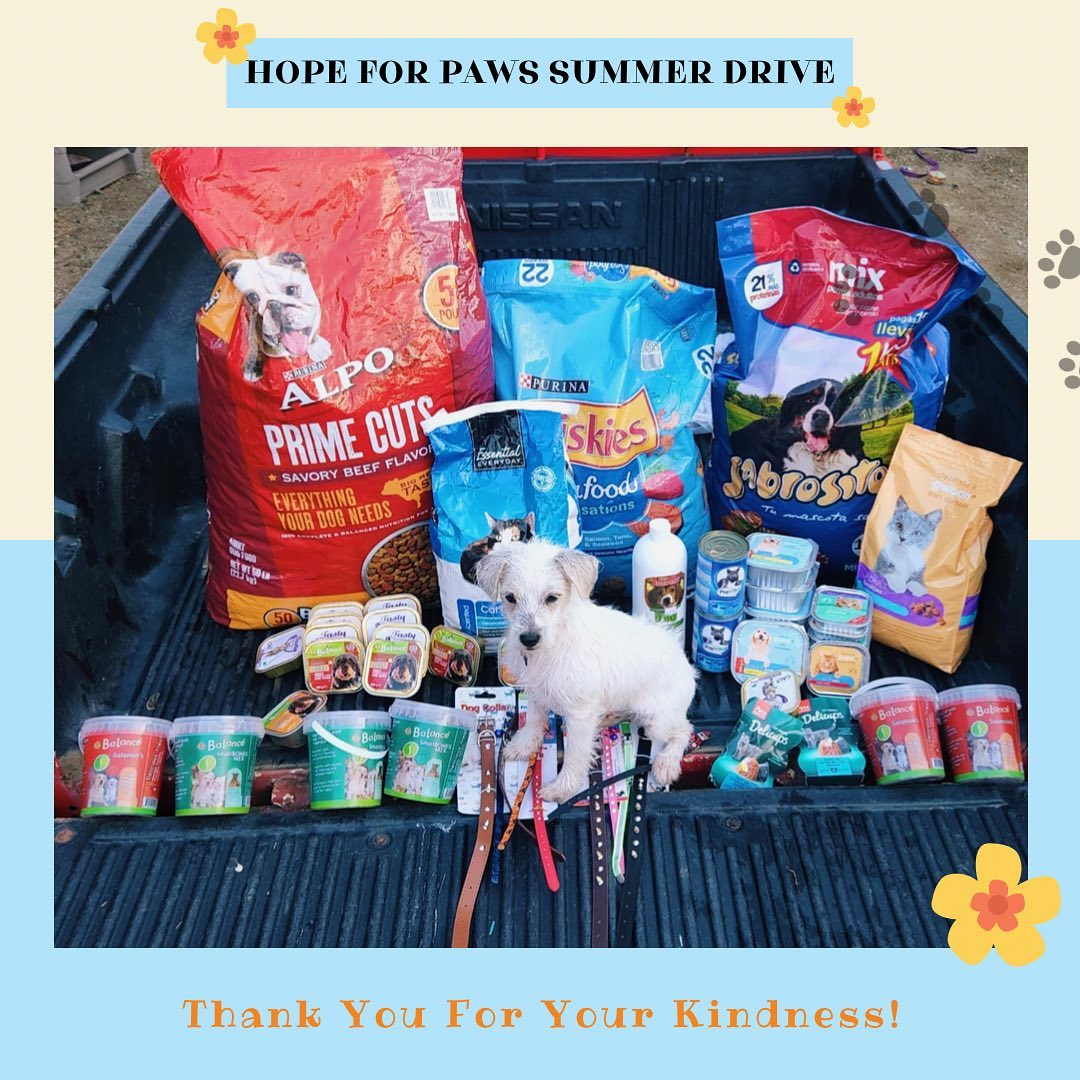 Our hearts are melting…🥰🙏🏻🥳 A big... - Hope for Paws Drive | Facebook