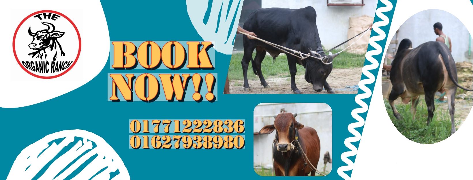 The Organic Ranch | Dhaka