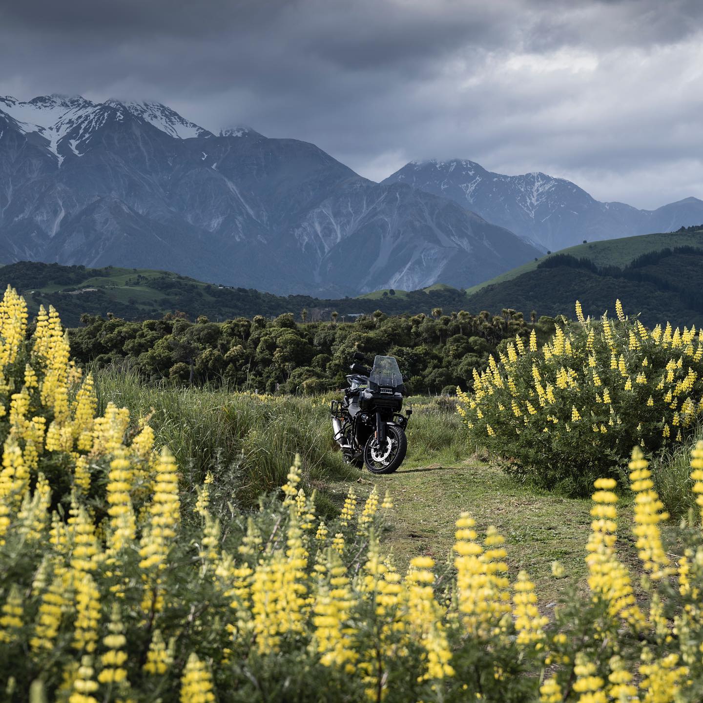 Dead Man Riding