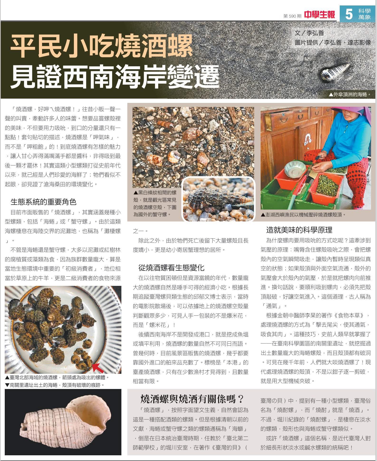 養殖與食魚文化 | 這是鶴鱵，一般在市場中以臺語「青旗」稱之，但也有人會以其身幹相對細長，同時有個向前延伸的尖長吻端，所... | Facebook