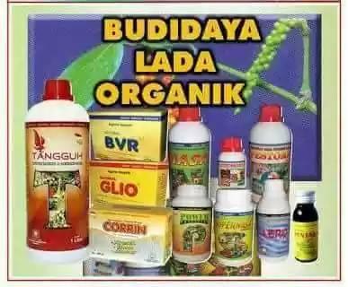 Distributor - PAKET PUPUK BUDIDAYA LADA ( POWER NUTRITION + SUPERNASA ...