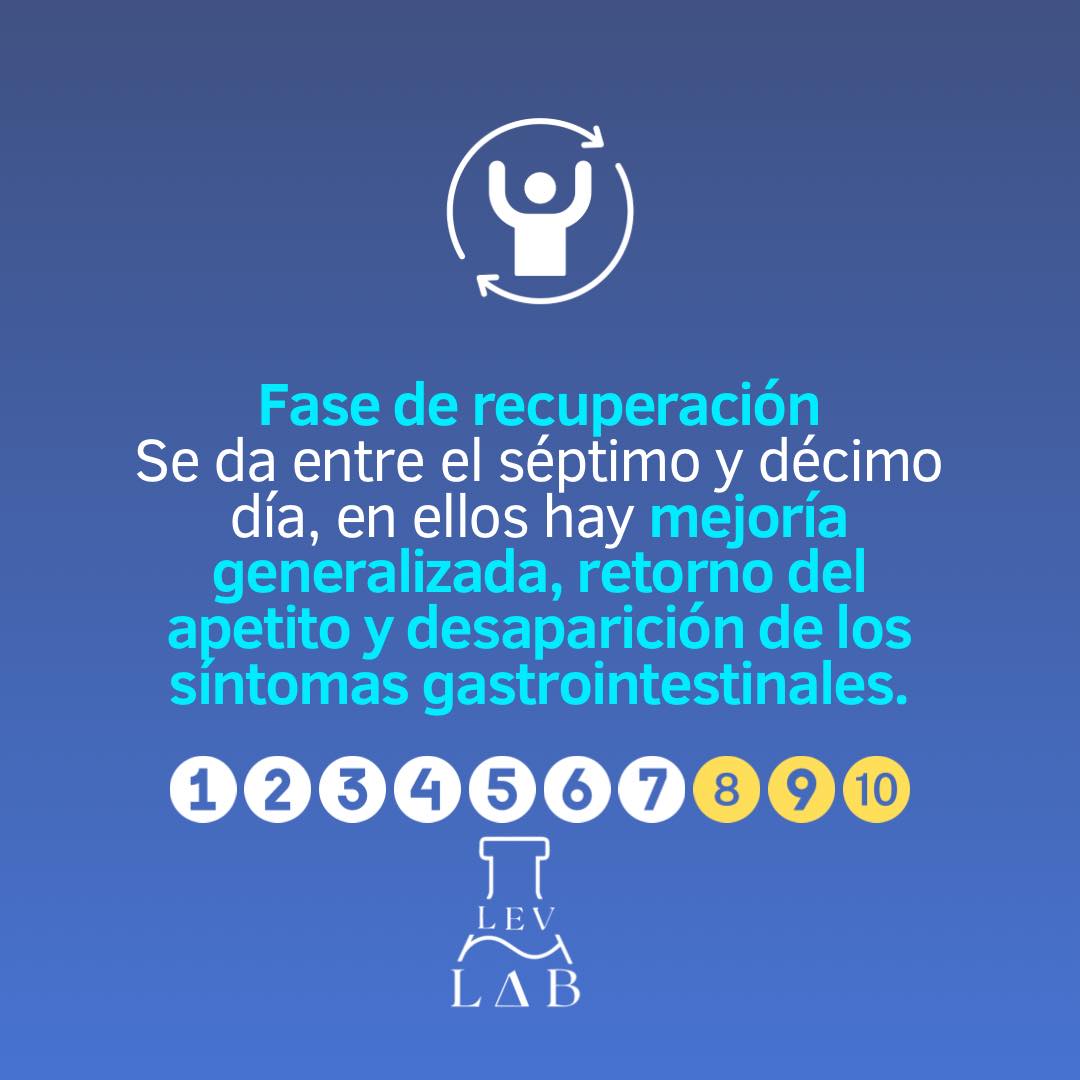 LEV LAB | Oaxaca de Juárez