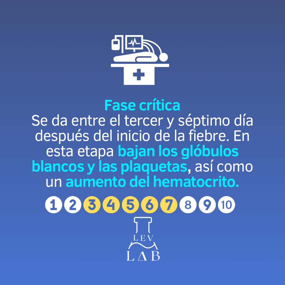 LEV LAB | Oaxaca de Juárez