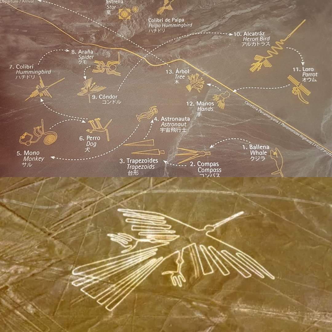 the-demon-book-je-raconte-les-myst-res-des-lignes-nazca-dans-le
