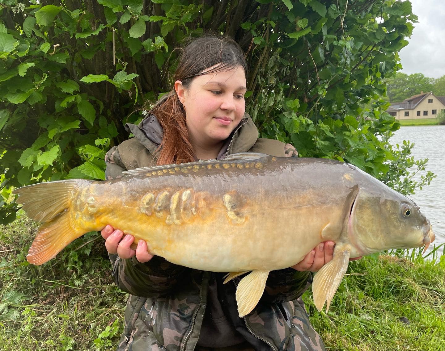 Capital Carp Community | Has anyone been out on the bank this week, and ...
