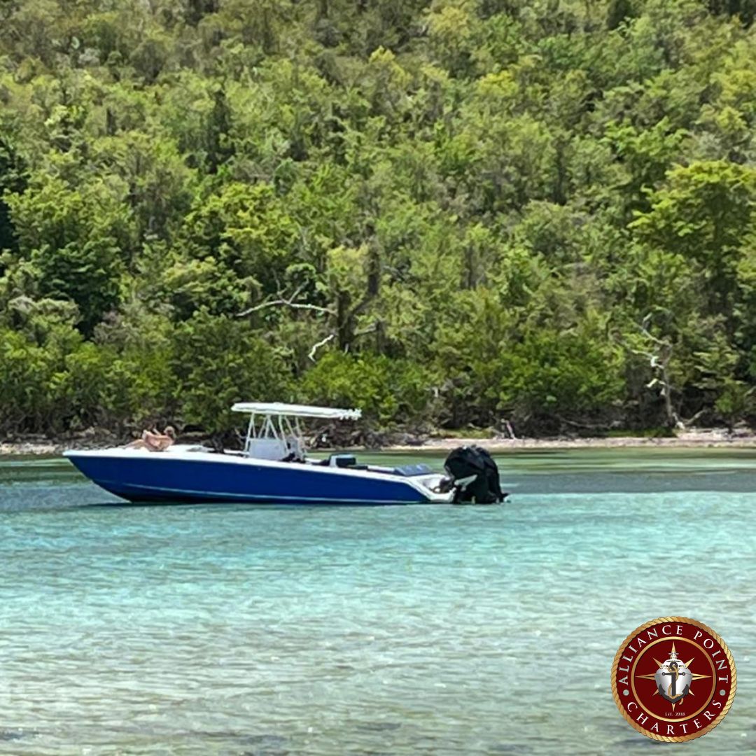 Alliance Point Charters | Saint Thomas US Virgin Islands