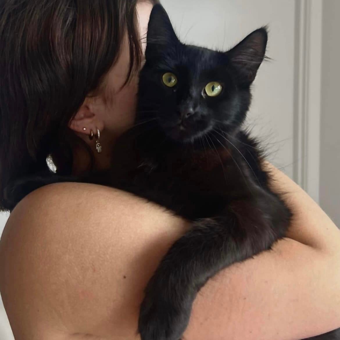 ️🥹left behind by her owner,... - House of Chances Rescue | Facebook