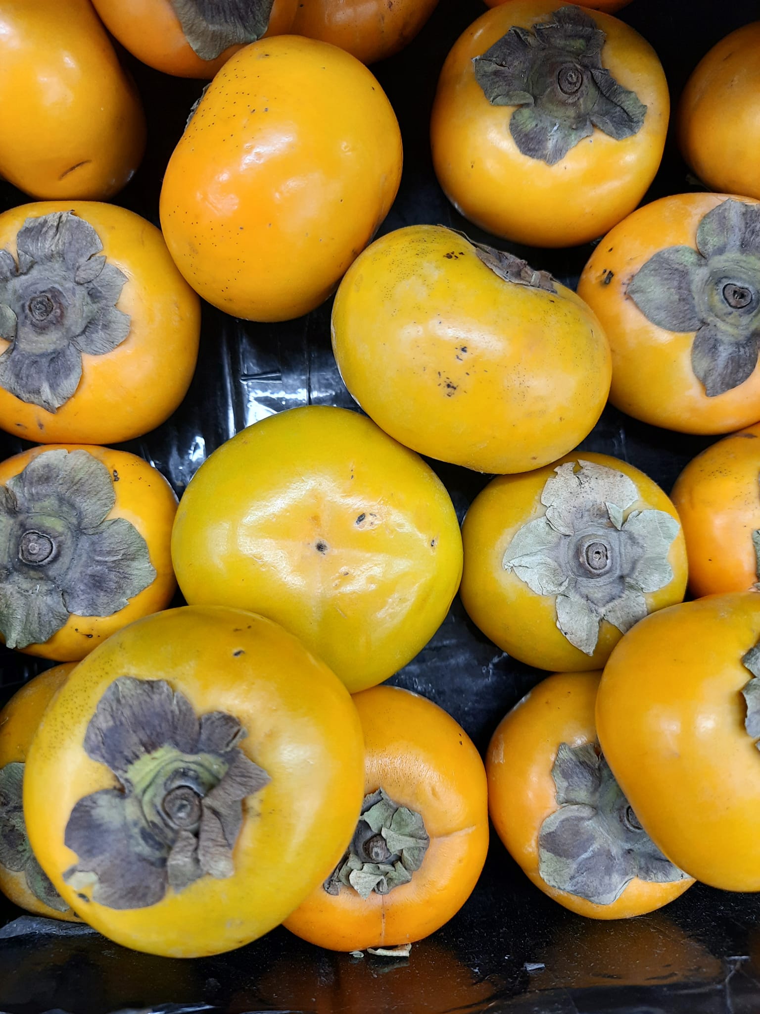 Japanese Persimmon. Diospyros kaki At a fruit shop. Faridkot