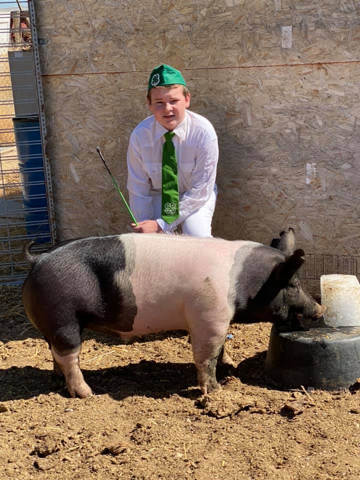 Neenach 4H - Saaay What 2020 fair project! Meet Billy...