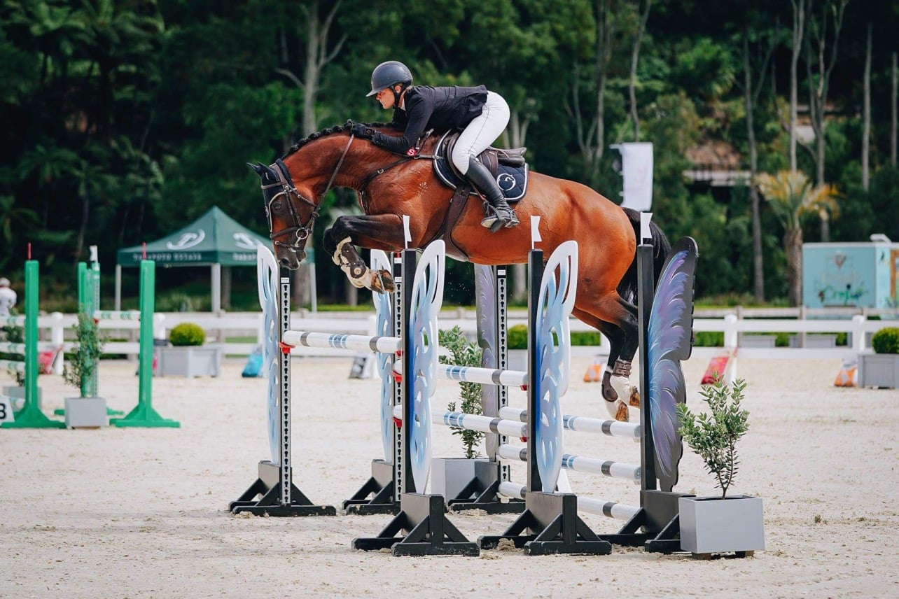 ️ Lordano x Littorio x Corlando.... - Fanfaire Equestrian | Facebook