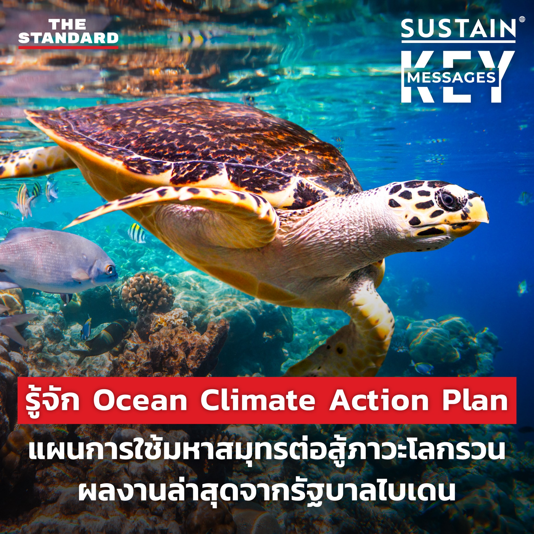 THE STANDARD - KEY MESSAGES: รู้จัก Ocean Climate Action...