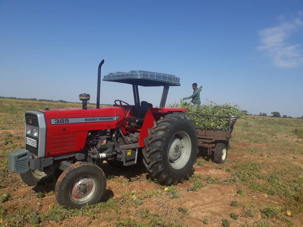 Elixir Tractor - Massey Ferguson (MF), New Holland (NH)... | Facebook