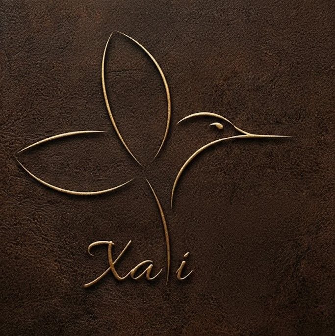 Xali Terapia