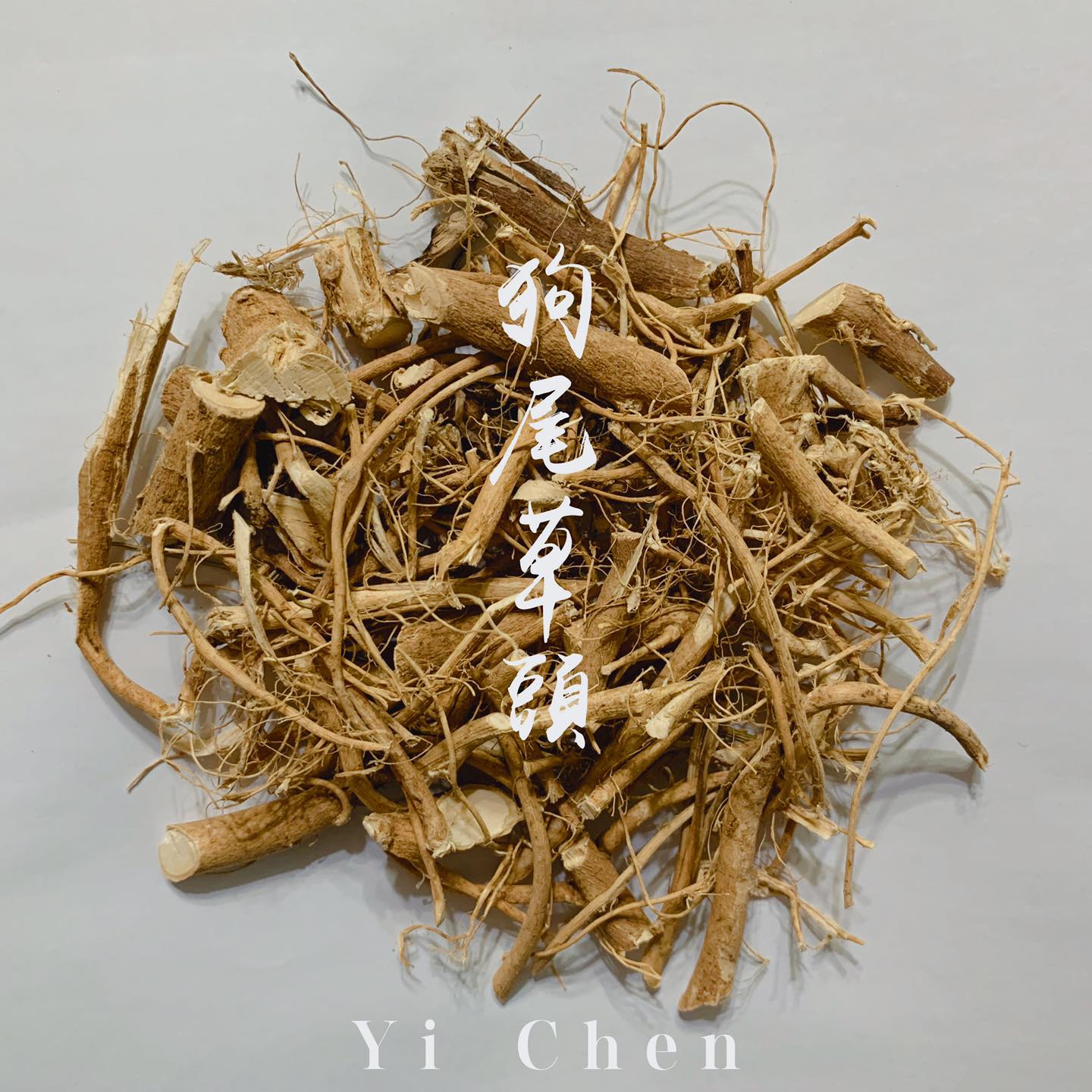益誠中草藥行 - [ 狗尾草 ] - 又名通天草，還有個美名叫「台灣人參」 很多長輩都知道給小孩喝狗尾草雞湯可以開脾...