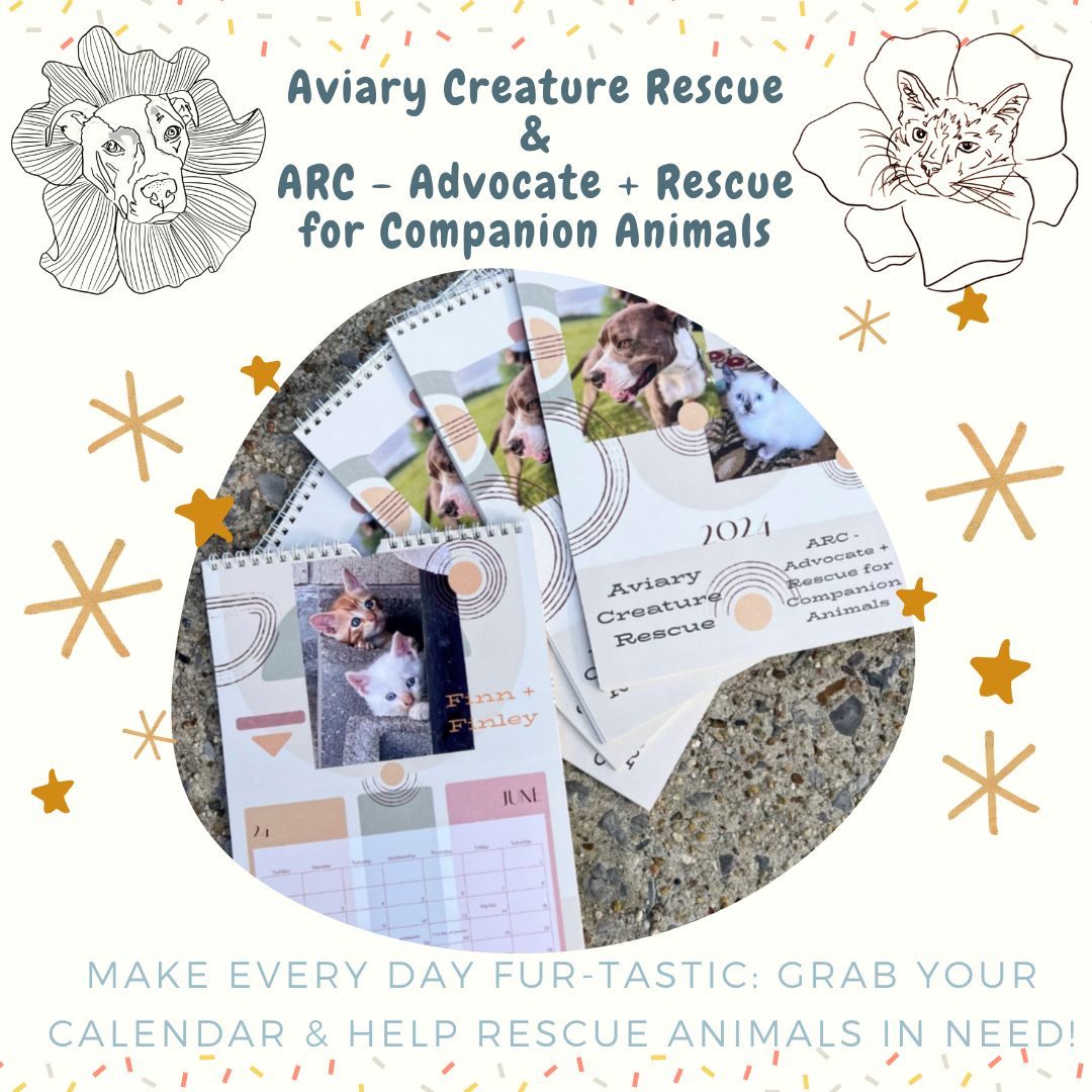 🗓️🐾 ... - ARC - Advocate + Rescue for Companion Animals | Facebook