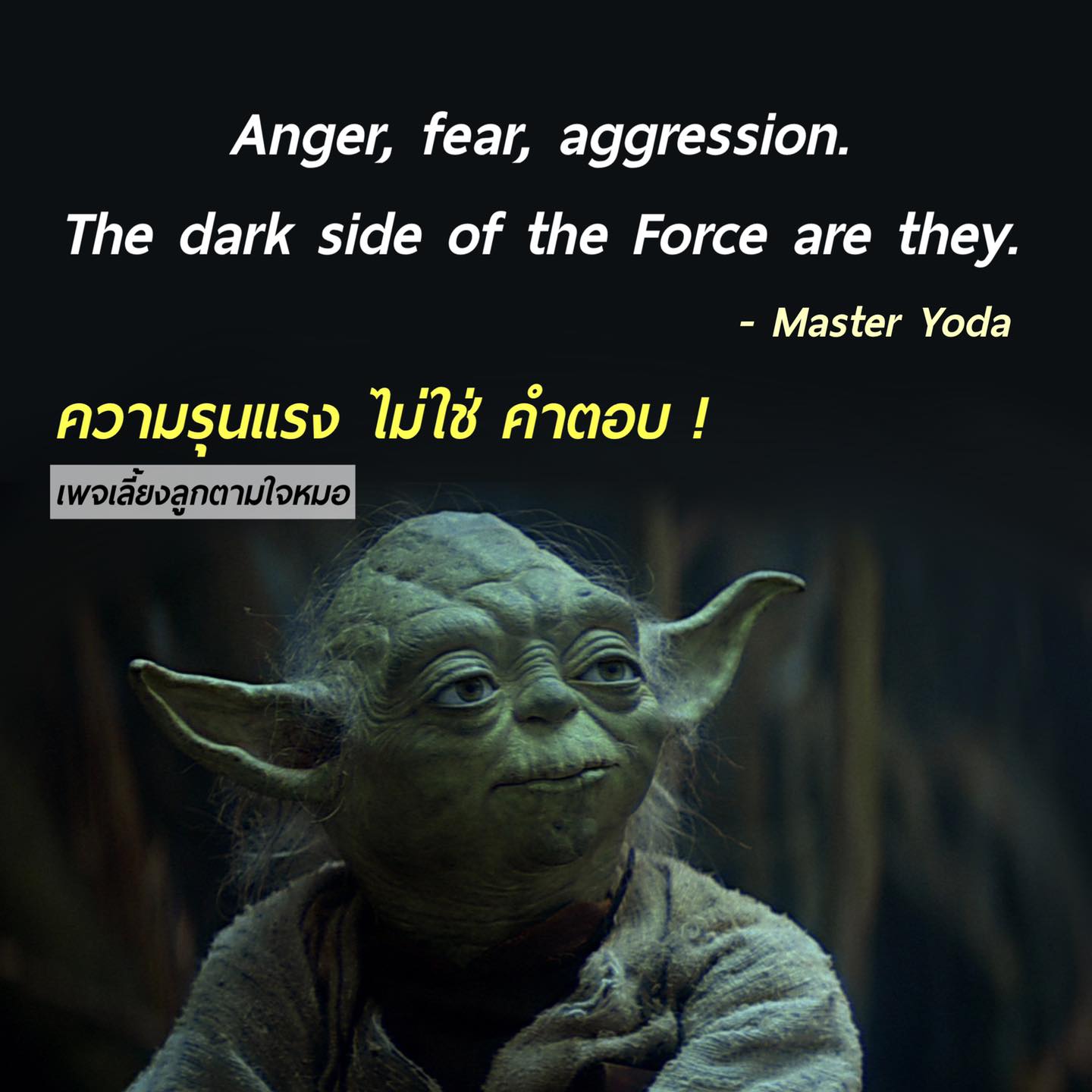 เลี้ยงลูกตามใจหมอ - “Fear is the path to the dark side. Fear leads to ...