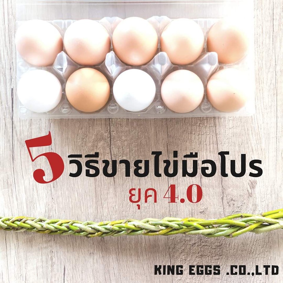 ขายไข่อย่างไรให้เป็... - คิงส์ เอ้กส์ - ราชาไข่ไก่ - King Eggs