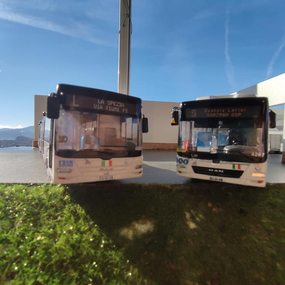 TMS Models - Siamo giunti alla fine di questo 2021 che ha...