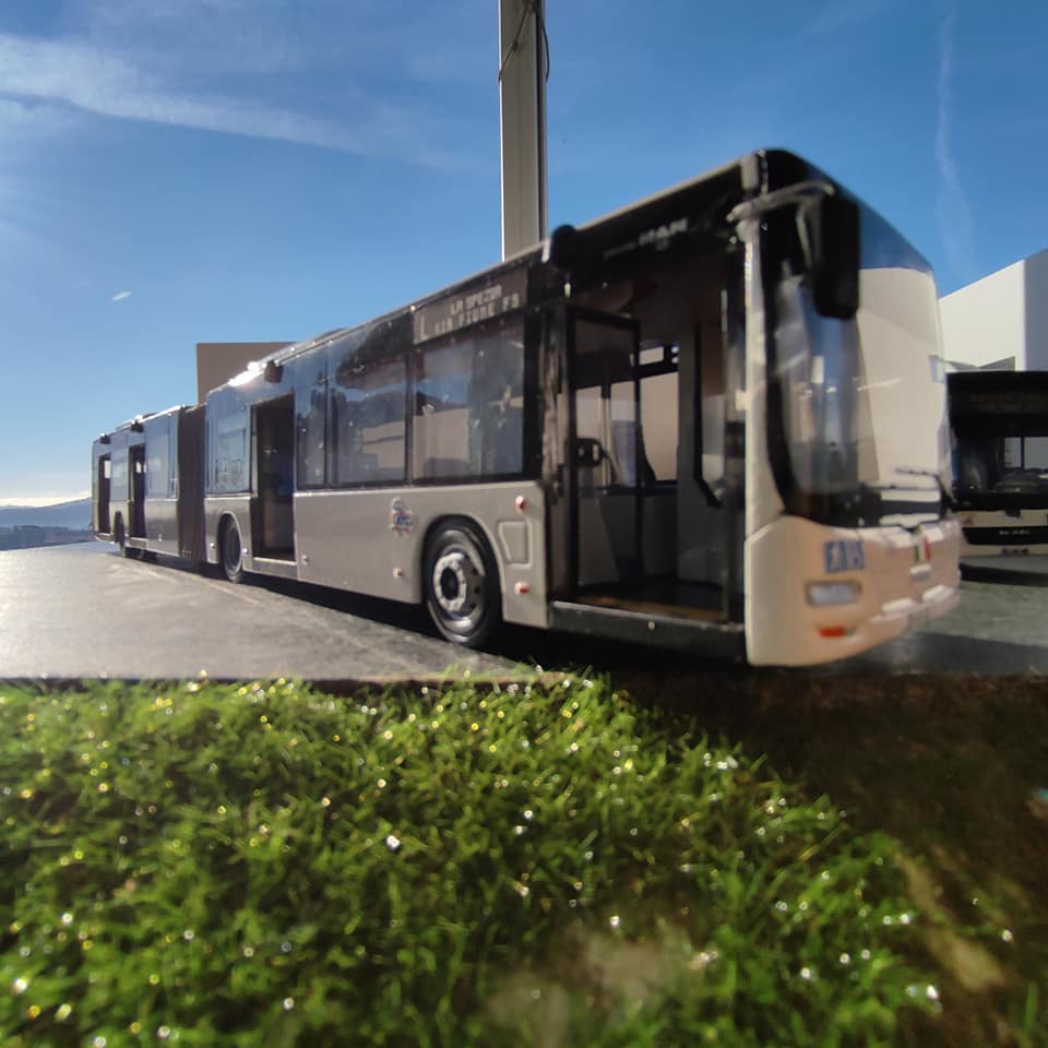 TMS Models - Siamo giunti alla fine di questo 2021 che ha...