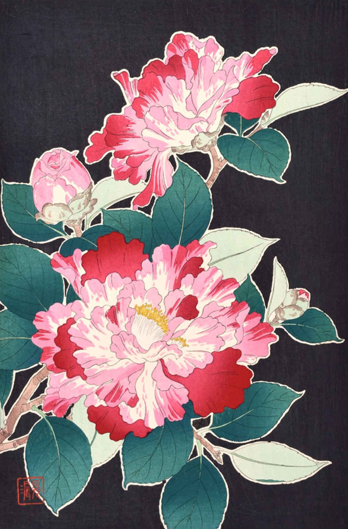 Peonies' (牡丹, Botan), a ca. 1950s woodblock print in an ōban