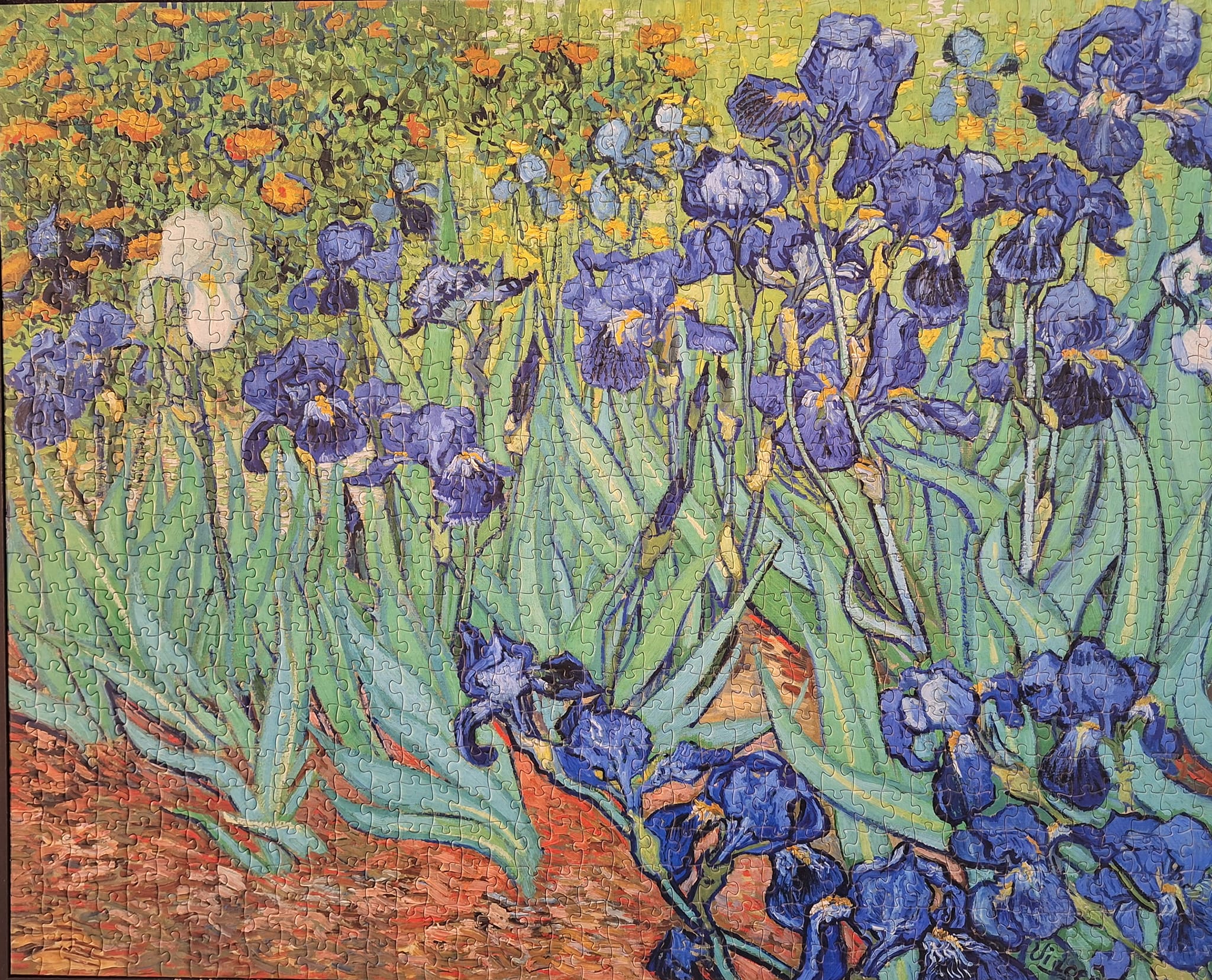 Irises 1889 By Vincent Van Gogh - 1000 Piece Jigsaw Puzzle, Premium Quality, Made In USA, Includes Reference Poster