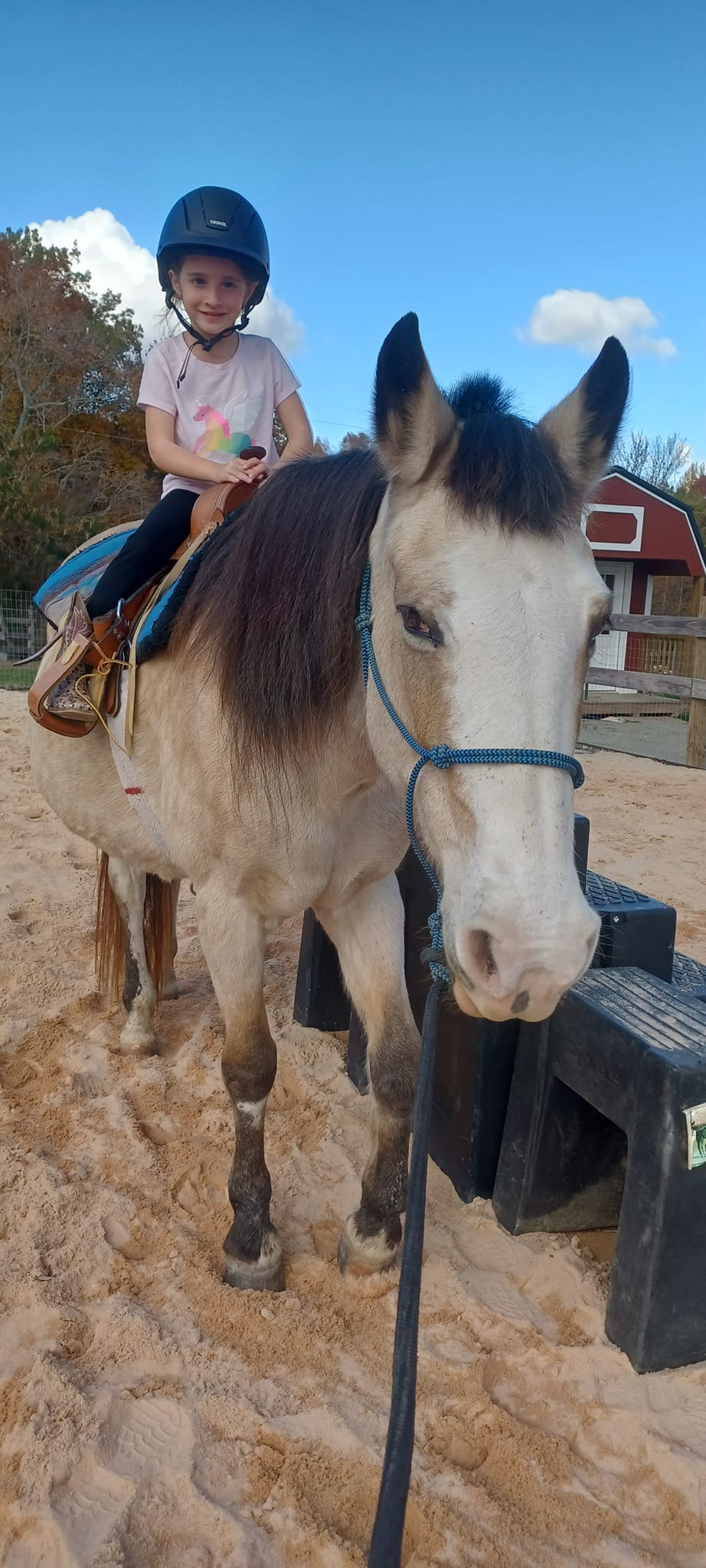 Spirit Horse Ranch... - Spirit Horse Ranch Education Center