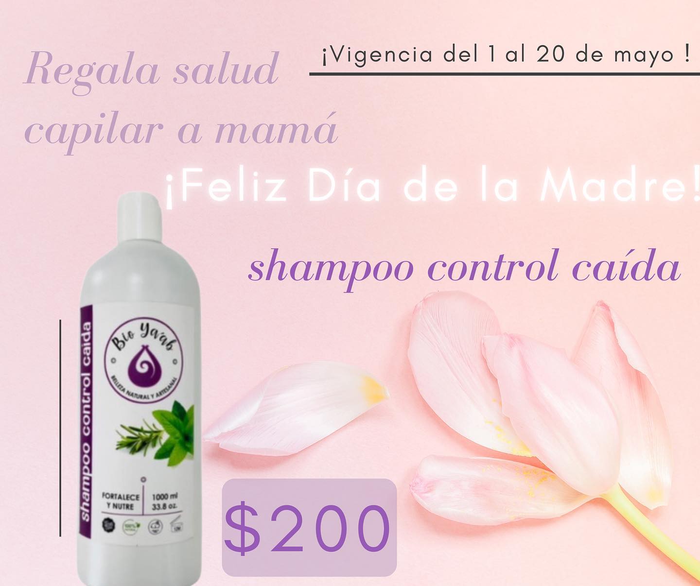 Bio Ya’ab Distribuidora | Torreón
