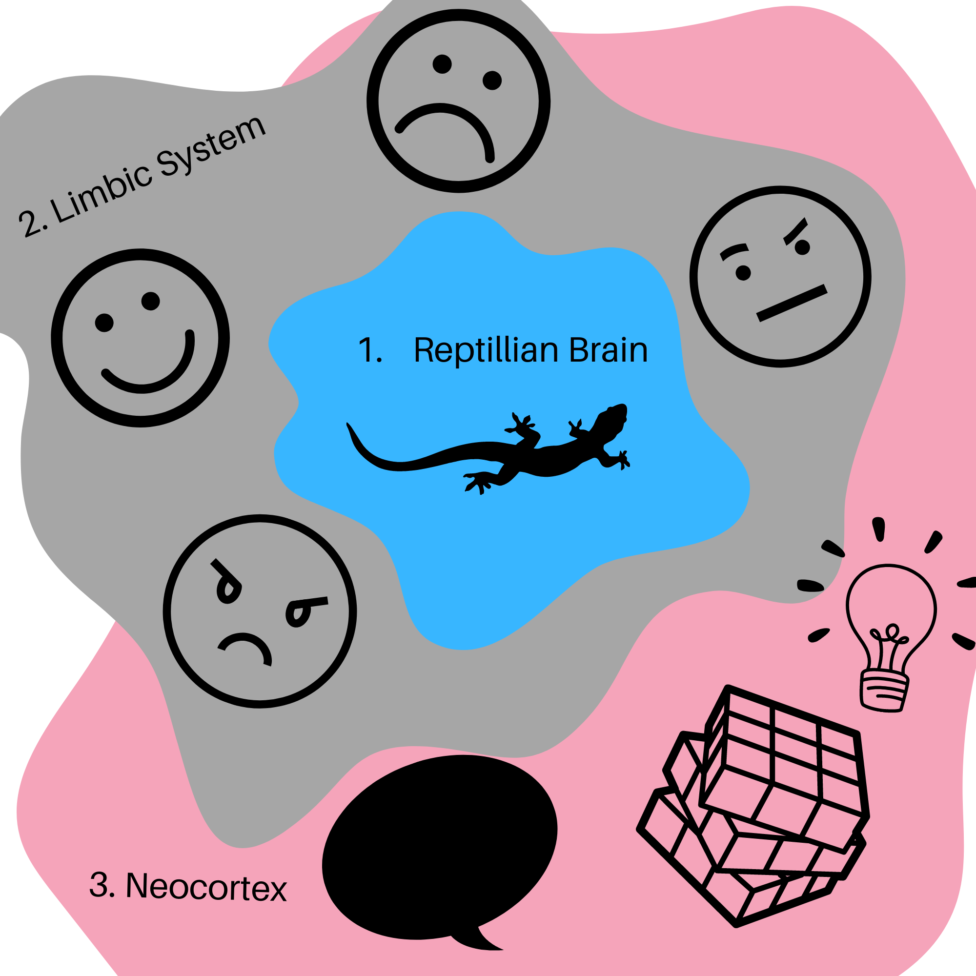 David Hoy & Associates - How the Brain Develops: 1. Reptillian Brain ...